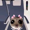 michini_01