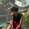 PUTRA