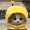 lemyuyen2709