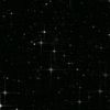 taurus.qing