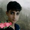 user732149946713