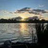 vyti_s