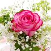 cesur_yusif2022