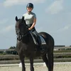 friesianeiske