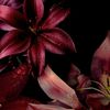 eve_sp33