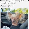 patsydinero