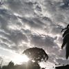 kenyababykb