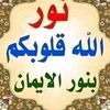 user2944020625735
