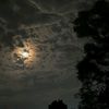 ikram_jhatial5