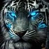 rare.drng