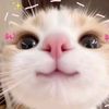 natacha.lil