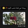 mahba.alraswl2