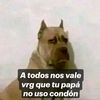 orfanato_para_pndejos