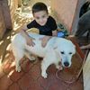 franklin_1199
