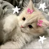 .cookie_preppy