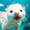 wrd_to_bella