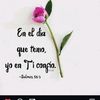 iranis.araujo