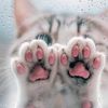lina.meb8