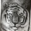 dylan_artist7