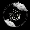 saidsolaiman1