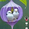 user58132261330815