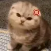 hoanghuy_kk9