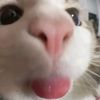 its_jenyyy1