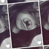 thanhdung500