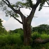 makata.lucky