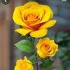 marthe5130