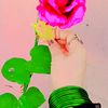malika.noor52