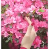 sa3doun973