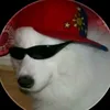 rrahaff_v