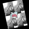 praew.is.cute