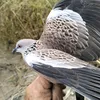 nh.hp...tn...71