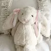 purplean27