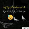 lhxhlx6