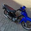 dapa_stecu12