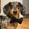 nipseydapple