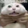 sirawit.wiruentan