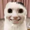 archibaldfilms