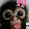 lowk_.ashl3yyy