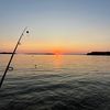 bow_man88