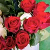 enaz_gyan