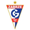 fp.gornik.zabrze