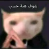 ha3.31an