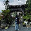 dnasiregar