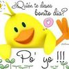 nacyta.alvarado.r