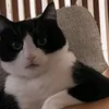 kislide