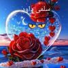 salma.dawoud2